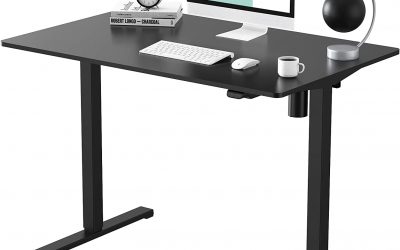 FlexiSpot Height Adjustable Electric 48″ Standing Desk